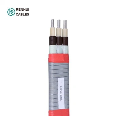 Cable submergible pla